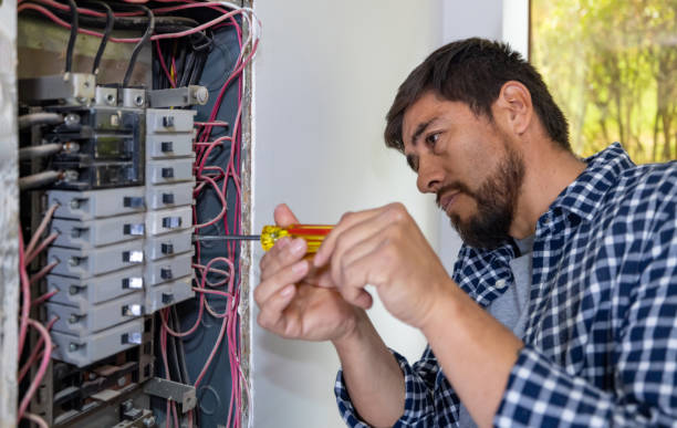 Best Electrician for Home Renovation  in Maple Grove, MN